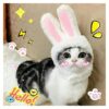 Cute Plush Bunny Rabbit Hat with Ears for Small Cats and Dogs Costume Accessory