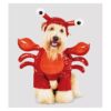 Cute Red Lobster Halloween Dog Costume Polyester Material Medium