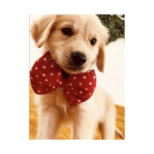 Cute Red and White Polka Dots Bow Tie for Dogs with Stretchable Strap