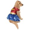 DC Comics Blue Wonder Woman Medium Pet Costume for Dogs