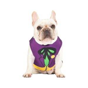 DC Comics Superhero Dog Costume for Small Dogs Small Breed Halloween Costume