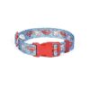 DC League of Super-Pets Officially Licensed Krypto Superman Dog Collar Fine