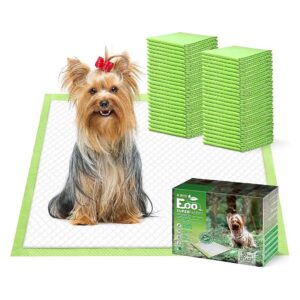 DIY-Ready Pet Parenting Solution with 50 Count Puppy Pads