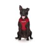 DO NOT PET Red Dog Harness Medium Size for Preventing Accidents