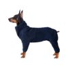 Dark Blue Windproof Dog Coat for Small Dogs with Four-Leg Design and Elastic Straps