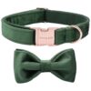 Dark Green Velvet Dog Collar with Adjustable Snap-On Buckle