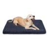 Dark Grey Orthopedic Dog Bed for Medium to Large Breeds with Anti Slip Bottom