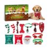 Day Dog Advent Calendar for Christmas with Daily Surprise Toys and Interactive Fun