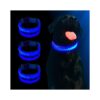 Day and Night Visible LED Dog Collar with USB Charging Capability