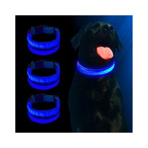 Day and Night Visible LED Dog Collar with USB Charging Capability