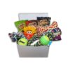 Delight Your Dog with This Good Care Package Gift Box