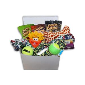 Delight Your Dog with This Good Care Package Gift Box