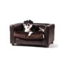 Deluxe Pet Sofa Bed with Removable Cover and Memory Foam Cushion for Small Breeds