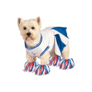 Deluxe White and Blue Cheerleader Pet Costume with Letterman's Jacket Trim and Pom-Poms