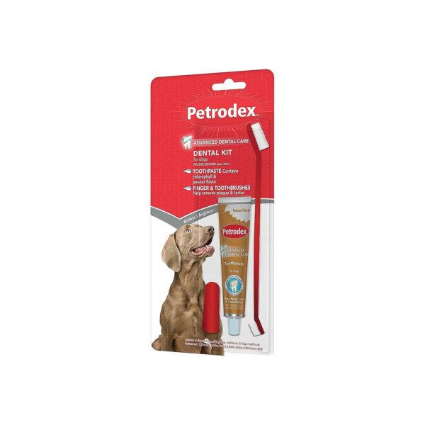 Dental Care Kit for Dogs Puppies Peanut Flavor Enzymatic Toothpaste