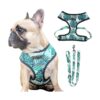 Designed Dog Vest Harness with Adjustable Buckles and Leash for Small Medium Large Dogs