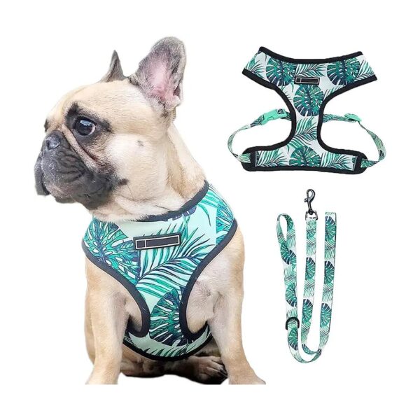 Designed Dog Vest Harness with Adjustable Buckles and Leash for Small Medium Large Dogs