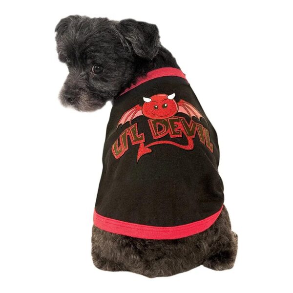 Devil Dog T Shirt with Red Trim and Comfortable Fit for Dogs