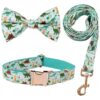 Dinosaur Dog Collar and Leash Set with Adjustable Cotton Collar for Small to Large Dogs