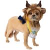 Disney Licensed Beauty And The Beast Pet Costume Accessories Set For Small Medium Dogs