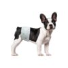 Disposable Dog Diapers for Dogs with Excitable Urination or Urinary Incontinence