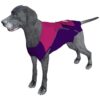 Disposable Dog Diapers for Male and Female Dogs - Heat Cycle and Incontinence Protection