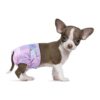 Disposable Female Dog Diapers with Leak-Resistant Barrier and Wetness Indicator