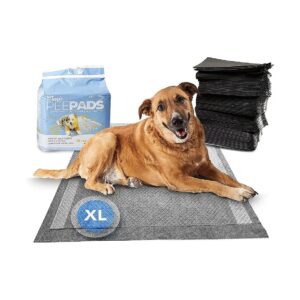 Disposable Pee Pads for Dogs with Effective Odor Elimination System