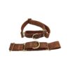 Distressed Leather Collar with Colorful Shades and Slip-On Closure for Large XL XXL Dogs