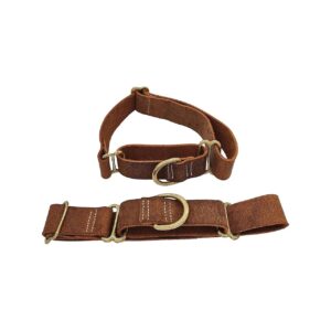 Distressed Leather Collar with Colorful Shades and Slip-On Closure for Large XL XXL Dogs