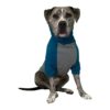 Doberman Grey Teal Dog Sweater for Real Pitbull Size Large Breeds, Winter Warmth