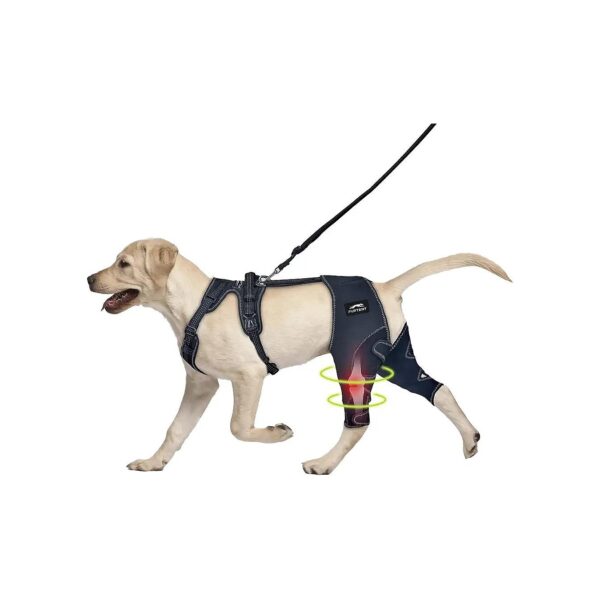 Dog ACL Knee Supports for Preventing Secondary Injuries and Pain