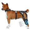 Dog ACL Support Brace for Hind Legs with Metal Side Stabilizers and Connections