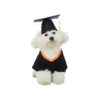 Dog Accessories for Graduation and Holiday Occasions including Shirts and Hats in M Size