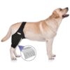 Dog Acl Knee Braces for Cruciate Ligament Injury and Recovery