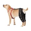 Dog Acl Knee Braces for Torn Acl Hind Leg with Cruciate Ligament Relief