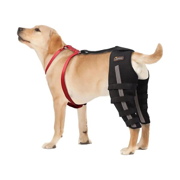 Dog Acl Knee Braces for Torn Acl Hind Leg with Cruciate Ligament Relief