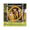 Dog Agility Obstacle Course Equipment with Hoop Jump Ring