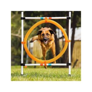 Dog Agility Obstacle Course Equipment with Hoop Jump Ring