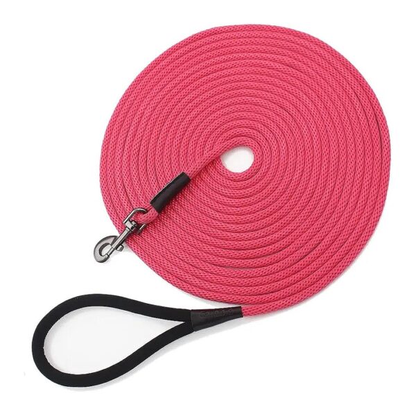 Dog Agility Training Equipment Leash 15ft 30ft 50ft 100ft Long for Obstacle Course