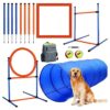 Dog Agility Training Starter Kit with Agility Obstacle Course