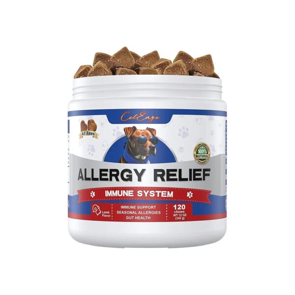 Dog Allergy Chews with Natural Turmeric and Hemp Seed Powder for Skin Issues