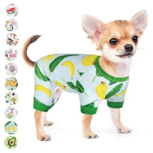 Dog Apparel for Small Dogs, Ch