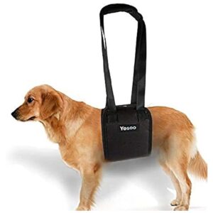 Dog Assist Harness for Weak Front or Rear Legs Provides Support Standing