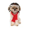 Dog Aviator Hat and Scarf Accessory Set, Medium/Large