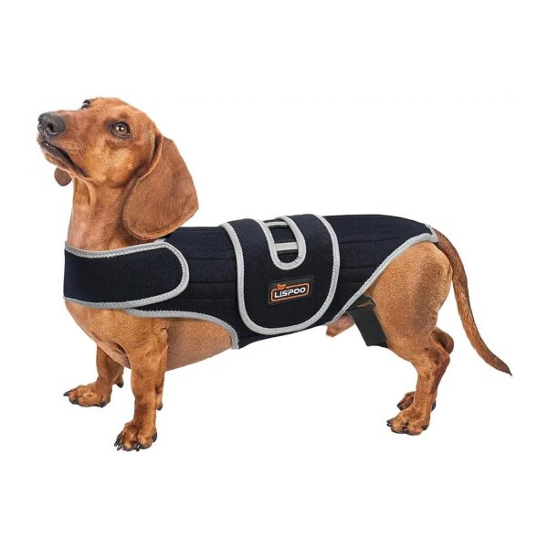 Dog Back Brace for IVDD Arthritis Pain Relief Supports Small Medium Large Dogs