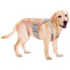 Dog Back Support Harness for Back Stabilization and Pain Relief