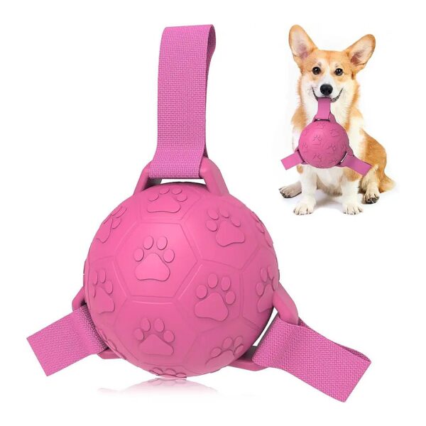 Dog Ball with Straps for Water Play and Tug of War for Small to Medium Dogs