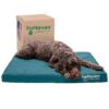 Dog Bed for Large Dogs - Orthopedic Foam Mattress with Water Resistant Cover