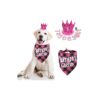 Dog Birthday Bandana with Number for Small Dogs - Perfect for Your Pet's Special Day